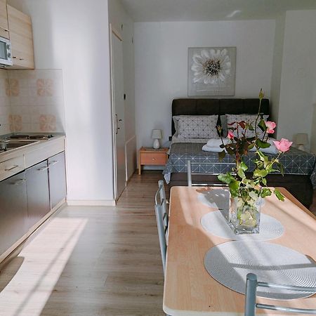 Marko Apartment Rovinj Buitenkant foto