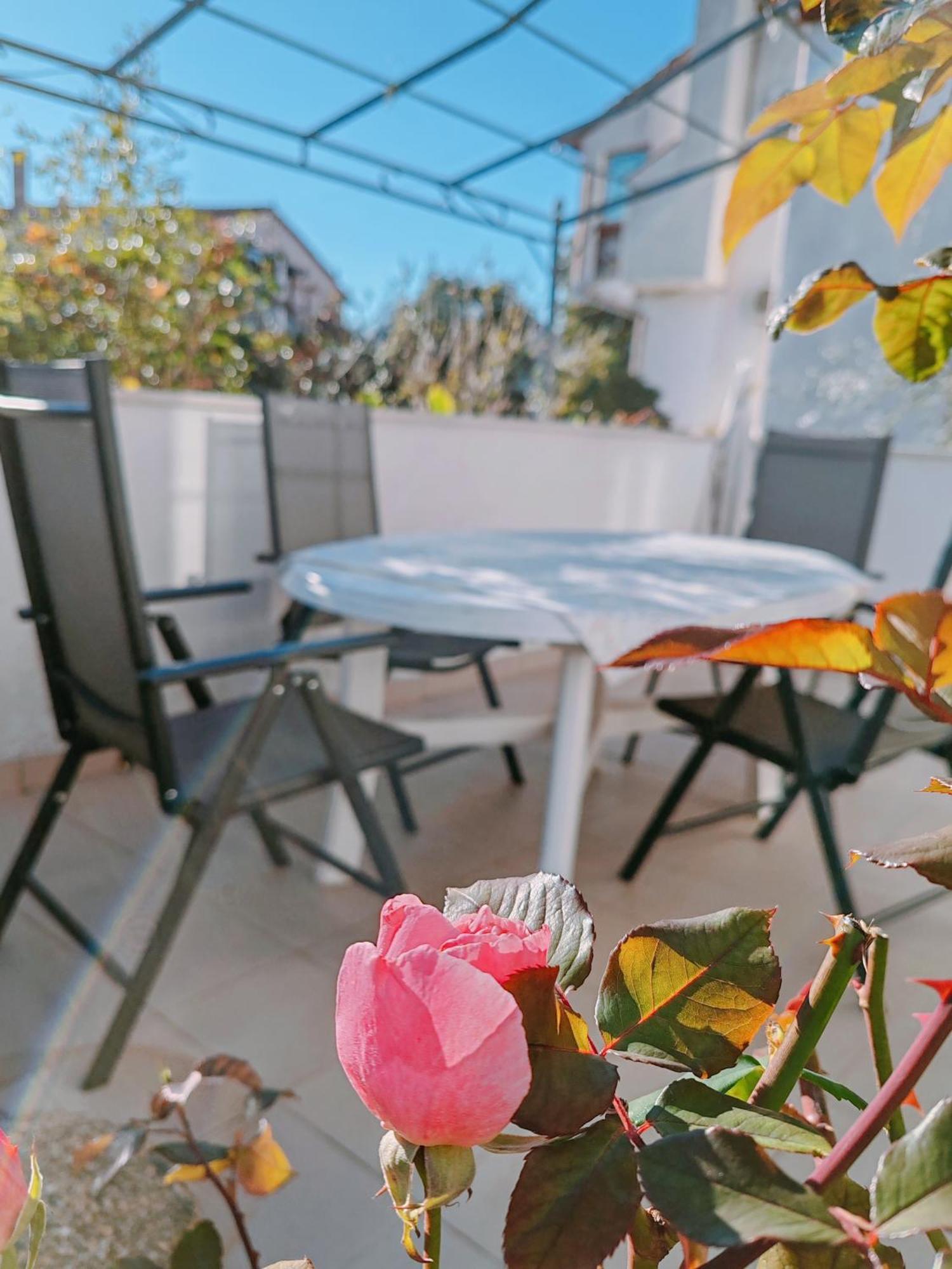 Marko Apartment Rovinj Buitenkant foto
